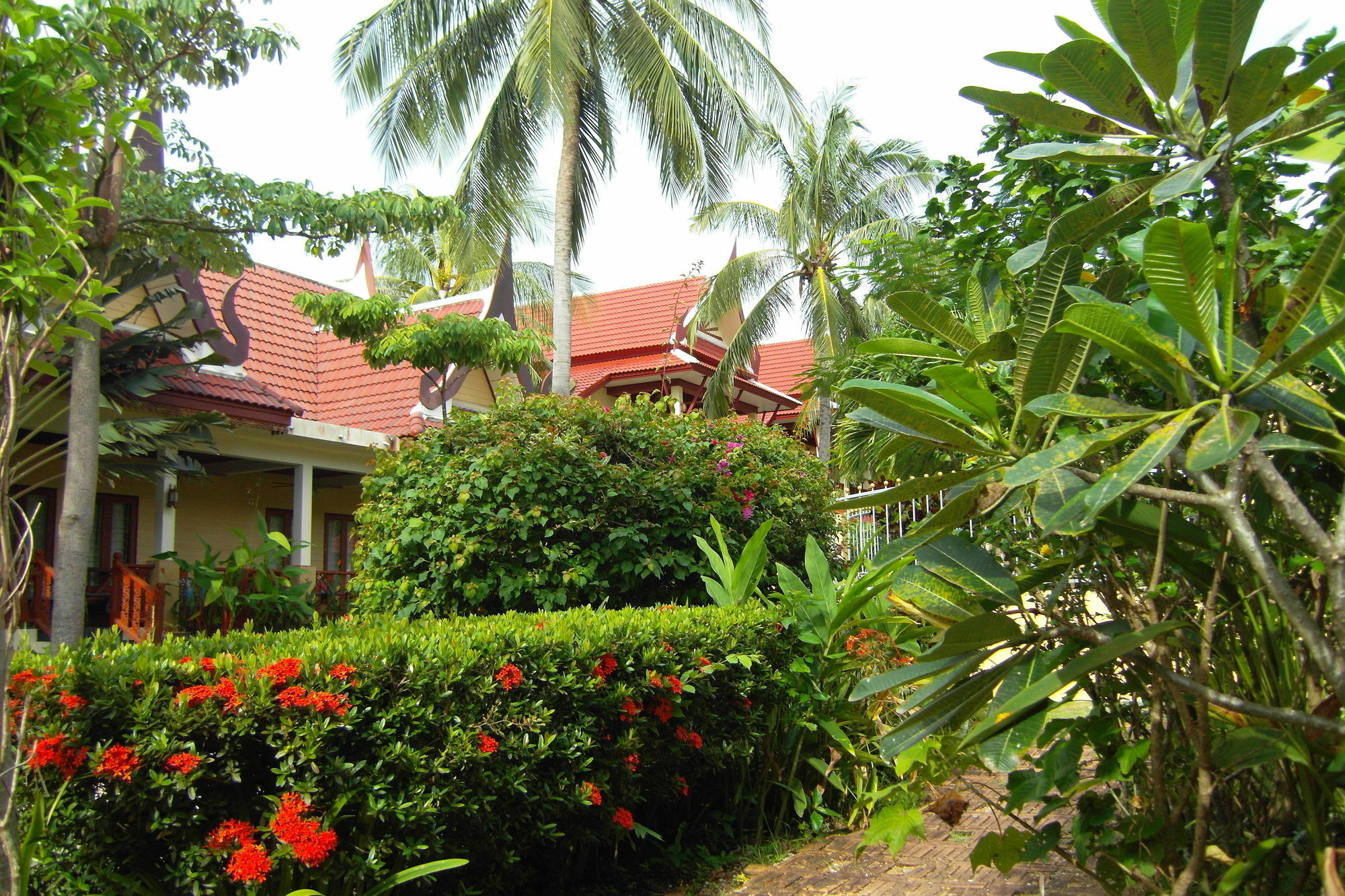Palm Village Rawai Extérieur photo